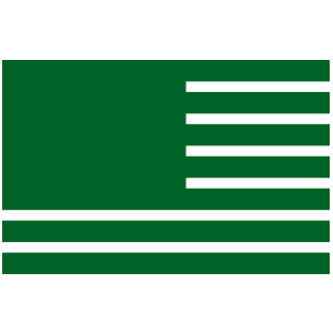 Green American flag icon