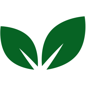 Green sustainability icon