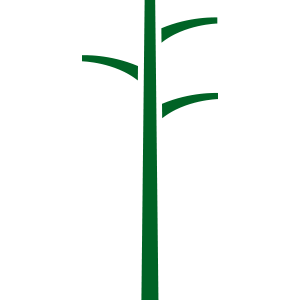 Light Duty Transmission Poles