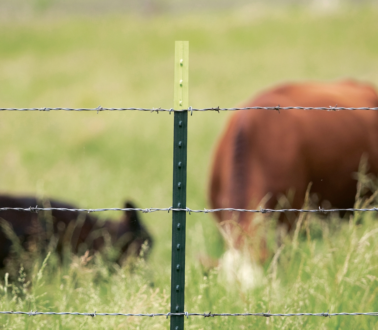 Steel Agriculture Products