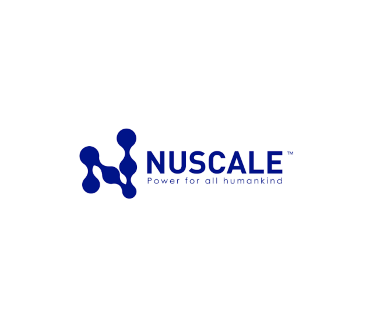 Investments in Small Modular Reactor Technology (SMRS)